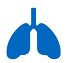 Pulmones